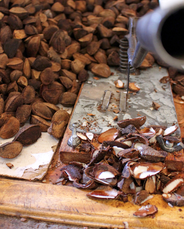 A beleza das castanhas do Pará no Ver-o-Peso