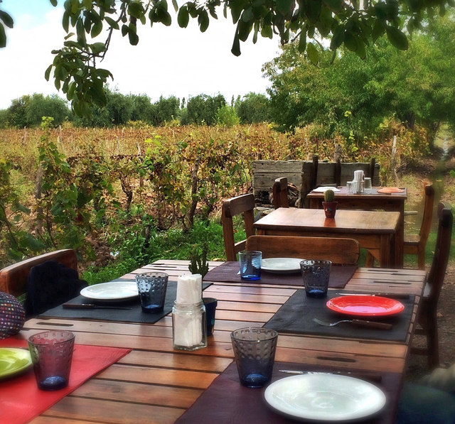Almoço entre os vinhedor orgânicos da Cecchin: não saia de Mendoza sem fazer esse programa