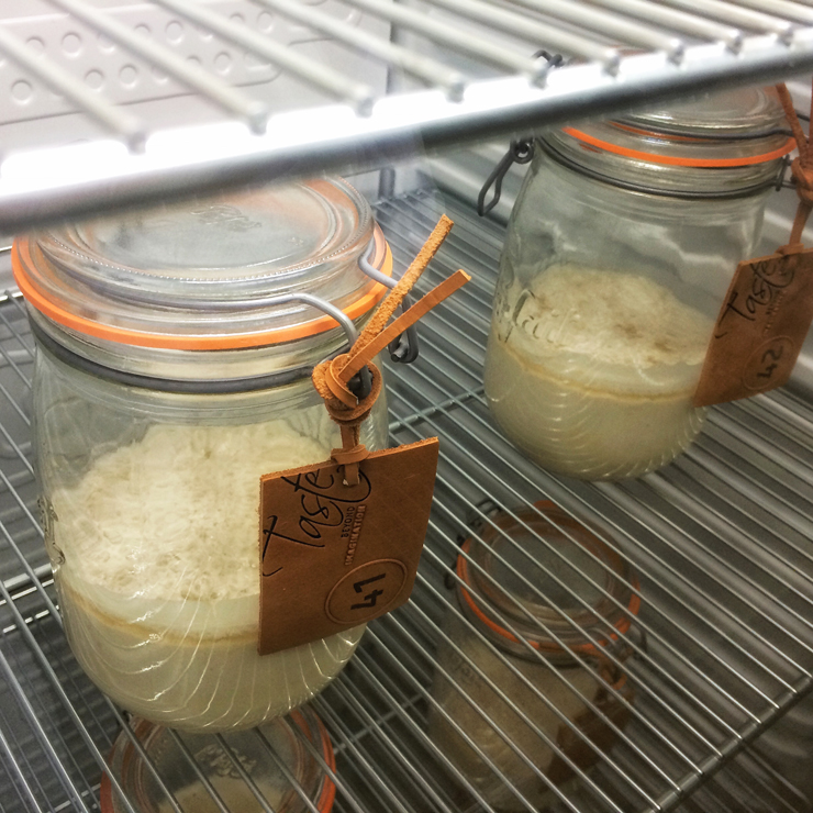 Levains catalogados em uma das geladeiras da Biblioteca do Fermento Natural, na sede da Puratos, na Bélgica