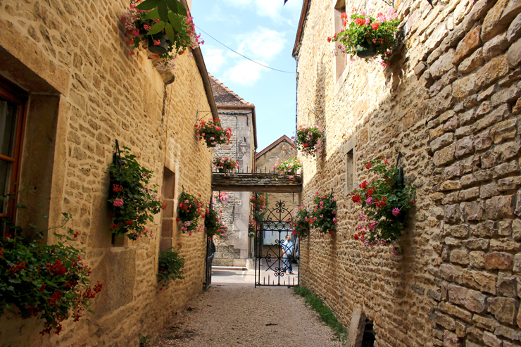 Vielas de Gevrey-Chambertin, na rota dos Grand Crus, na Borgonha