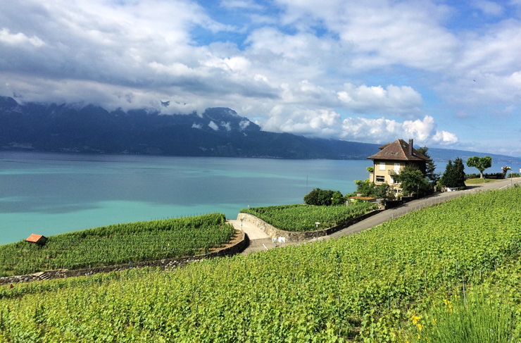 De matar de lindo! Vinhedos de Lavaux à beira do lago Genebra, em Lausanne, na Suíça