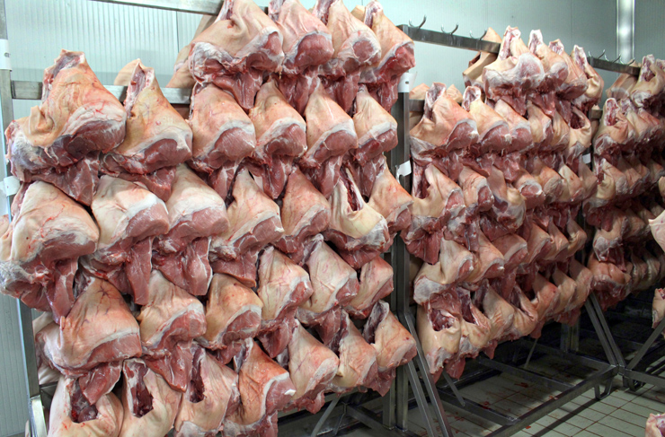 O início do processo de produção do presunto cozido: os pernis suínos chegam ao salumifício e vão para a desossa