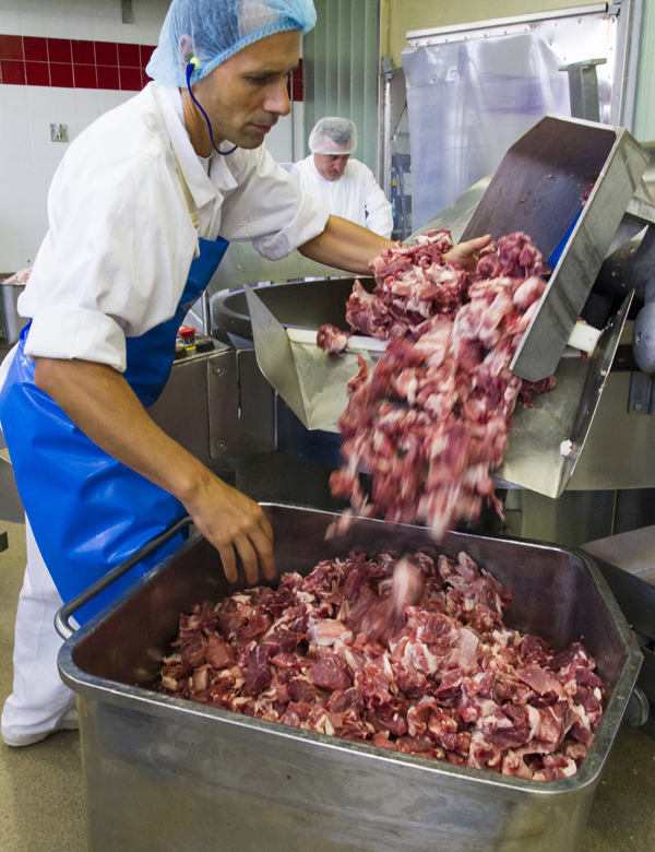 Primeira moagem da paleta e pancetta, matéria-prima do salame