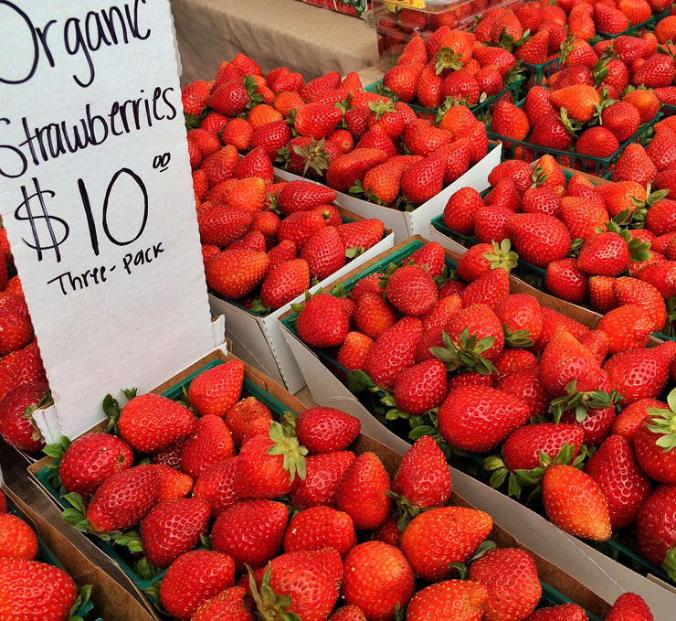 Toda a beleza e delícia das frutas orgânicas da estação.