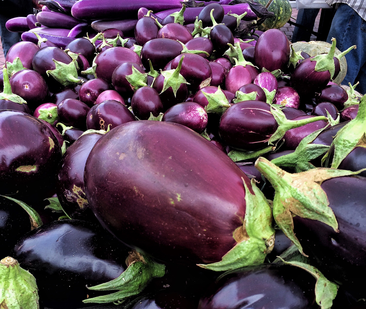 A lindeja das berinjelas, no auge de sua temporada, no Heart of the City Farmers Market