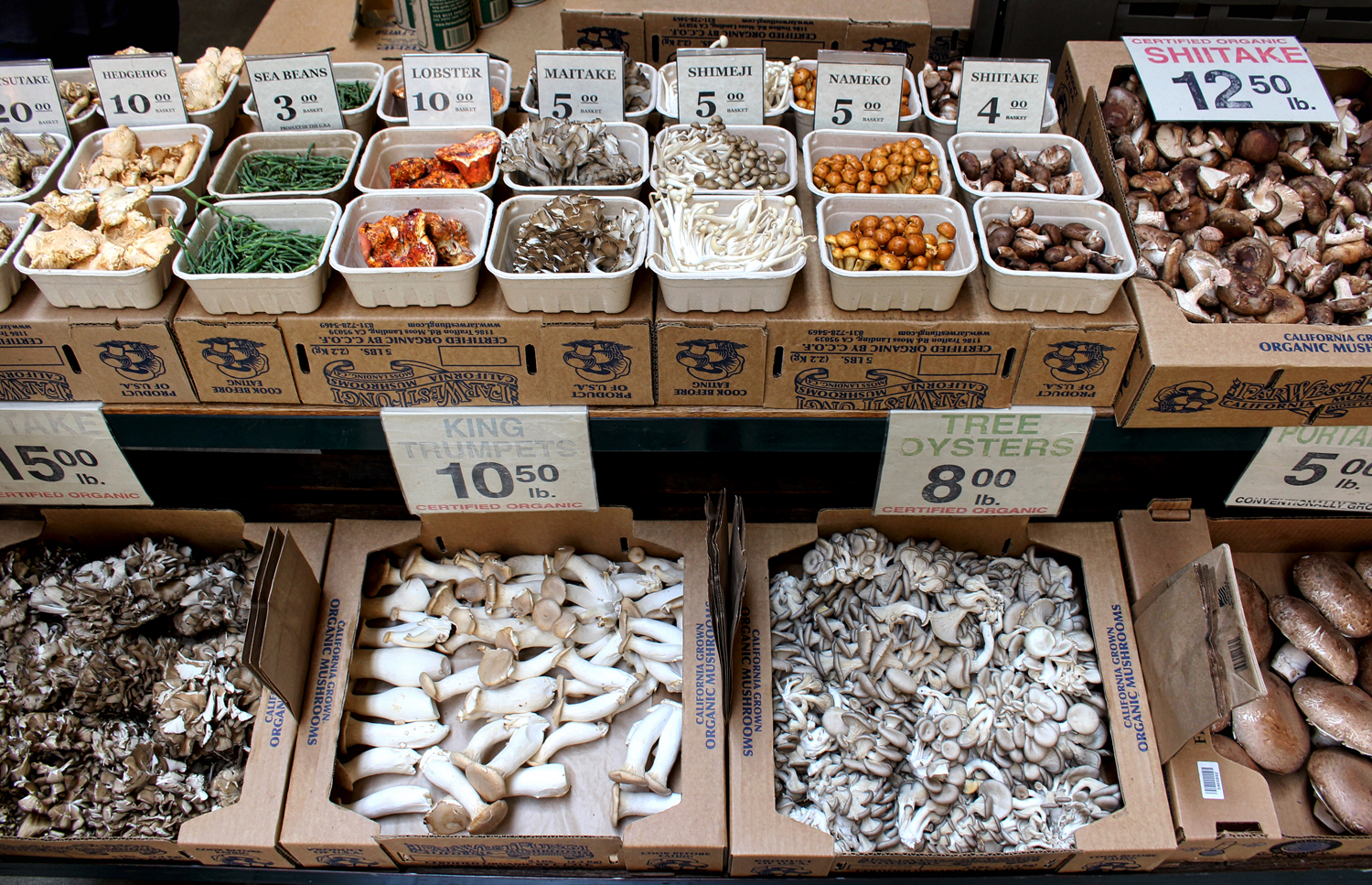 Uma das lojas mais sensacionais do Ferry Builing Marketplace: Far West Fungi