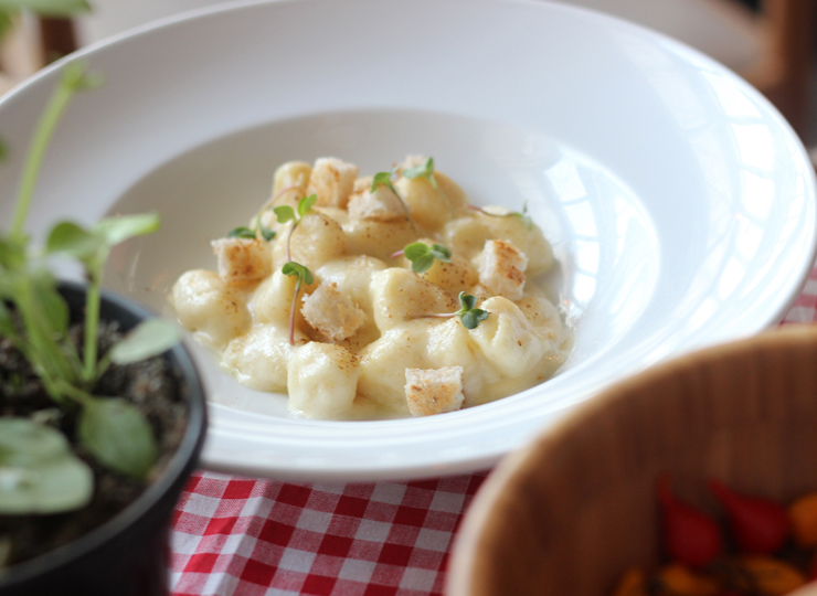 Prato do Festival Arca do Gosto: Gnocchi de batata com queijo parmesão da Mantiqueira (R$ 58) do Brace Bar & Griglia