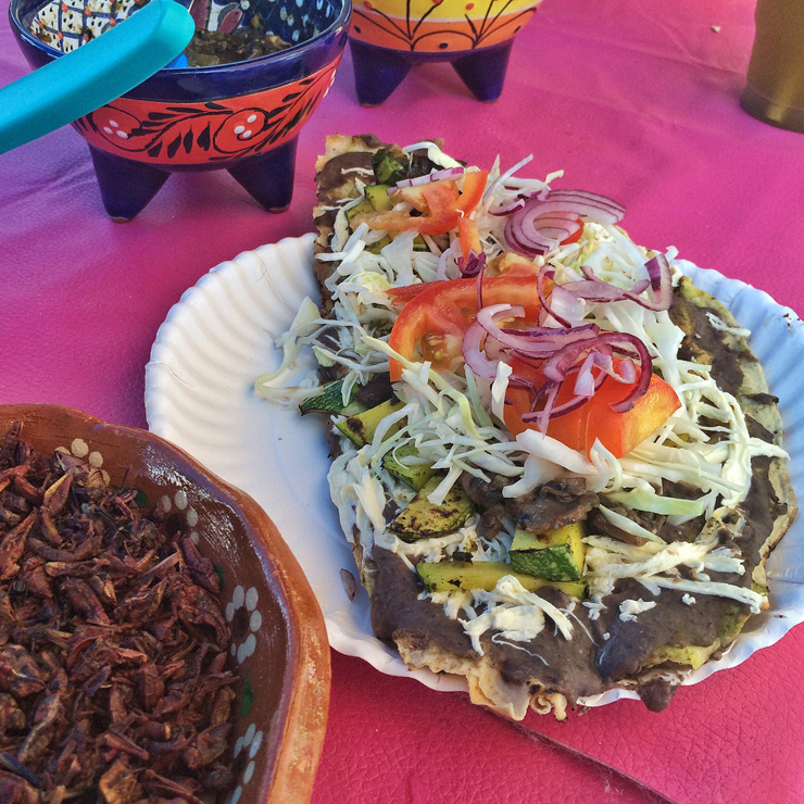 especialidade de Oaxaca, Tlayuda: massa de milho grande e mais seca e fina e crocante que a tortilla. Com frijoles, abobrinha, repolho, tomate, queijo de Oaxaca, cebola e, se quiser, grilos (chapullin)