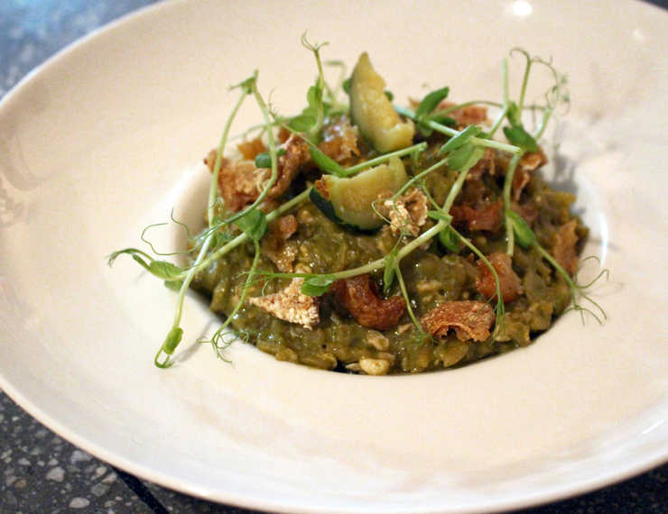 o chef José Manuel Baños, do Pitiona Cucina de Autor, de Oaxaca: risoto de abobrinha com chicharrón de frango e escamoles, chamado de caviar mexicano. Ou, sendo clara: ovas de formiga. No restaurante Tuna Blanca