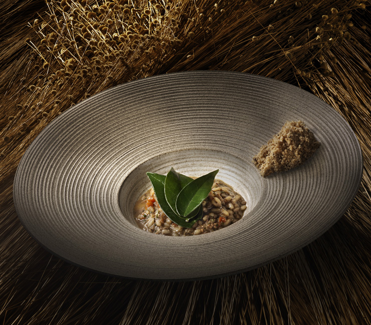 Arroz de pequi com galinha d'Angola, farofa de baru e ora-pro-nóbis - Bioma: Cerrado