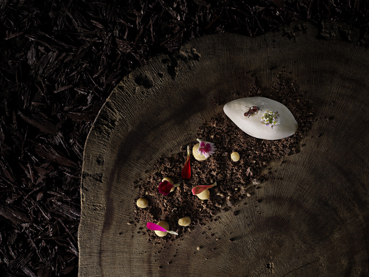 Creme de cumaru com farofa de cacau, castanha do Pará e fava de aridã com sorbet de cupuaçu e saúva - Bioma: Amazônia