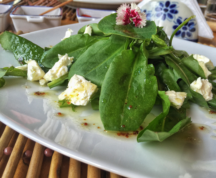 Salada de PANCs da estação (no caso, serralha, língua de vaca, azedinha, catalônia, bálsamo e almeirão roxo) ao molho de mel dos Mellos e queijo de cabra de Santo Antonio (R$23)