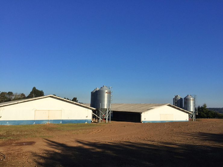 Vista externa de aviários parceiros da Seara, em Guaraciaba, Santa Catarina