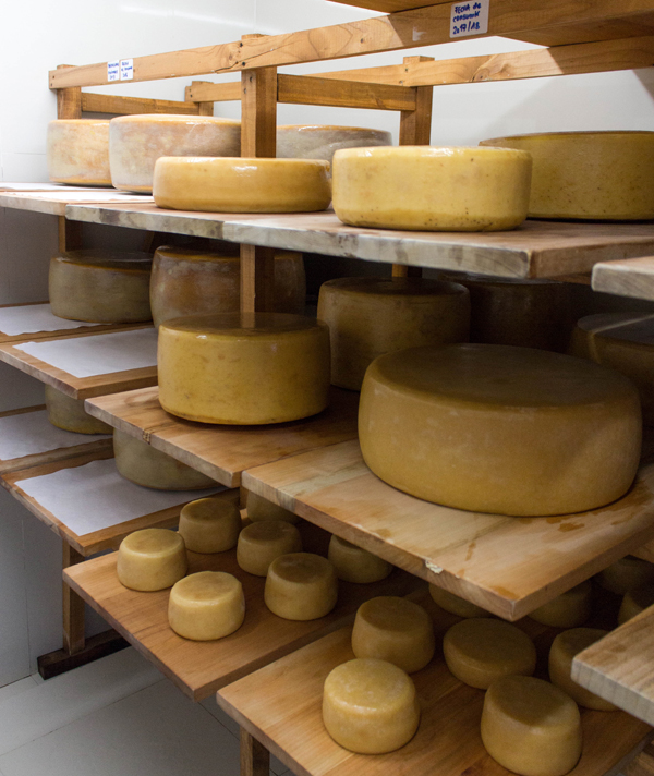 A bela variedade de queijos, produzidos produzidos por mestre-queijeiro suíço, no hotel Vira Vira