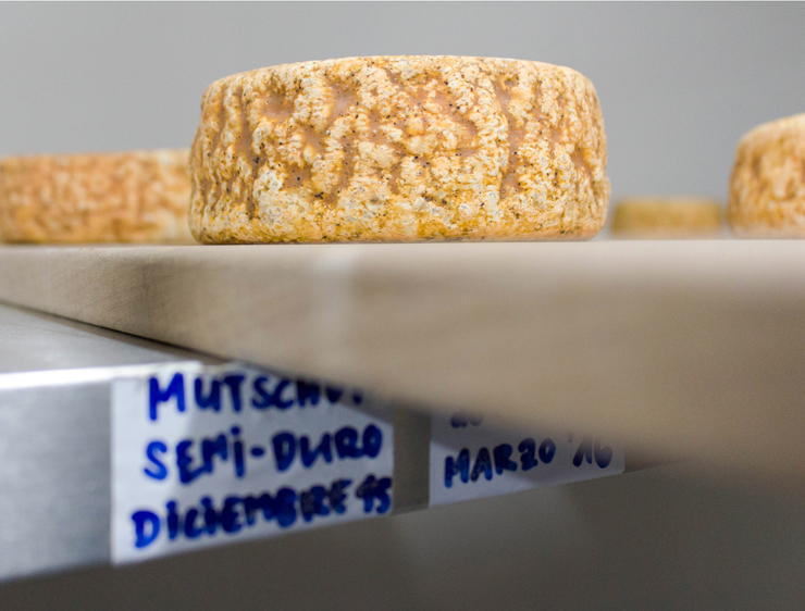 Um dos tipo de queijos produzidos no hotel - somente para os hóspedes