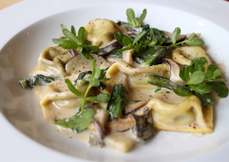 Tortellini de berinjela e Pancs com queijo Serra das Antas, cogumelos e folhas de Major Gomes do Esquina Mocotó