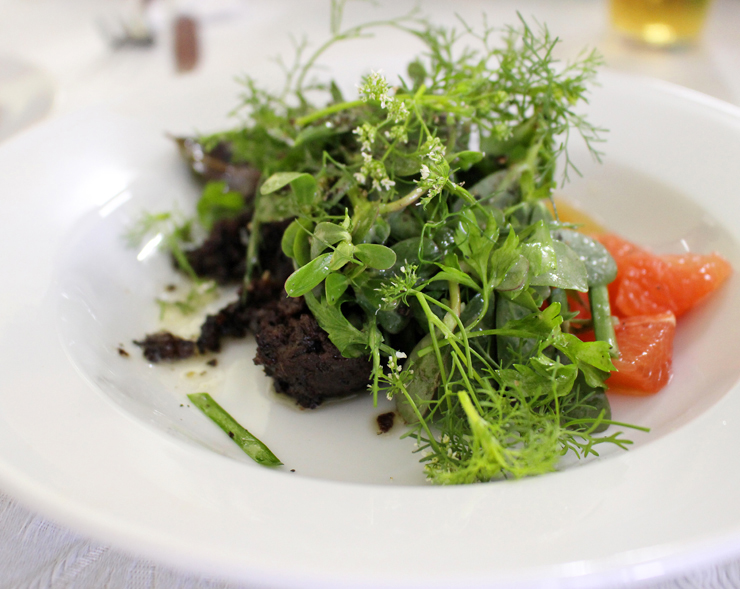 Salada de ervas e PANCs com creme de maçã, grapefruit e morcilla do Capivara Bar